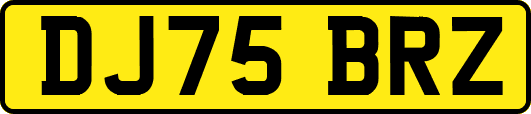 DJ75BRZ