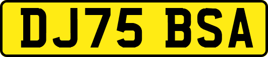 DJ75BSA