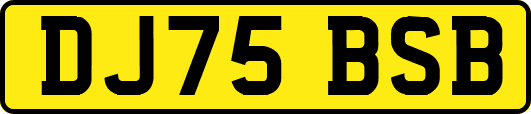 DJ75BSB