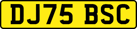 DJ75BSC