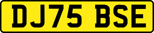 DJ75BSE