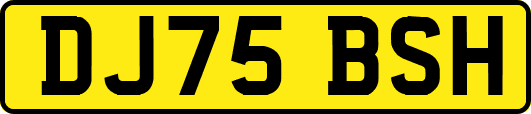 DJ75BSH