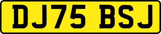 DJ75BSJ