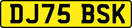 DJ75BSK