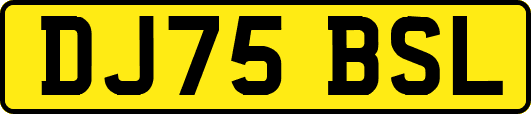 DJ75BSL