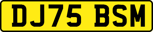 DJ75BSM