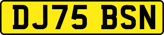 DJ75BSN