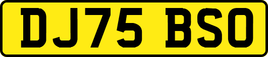 DJ75BSO