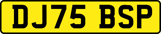 DJ75BSP