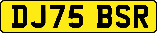 DJ75BSR