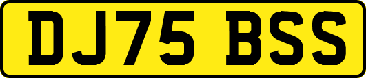 DJ75BSS