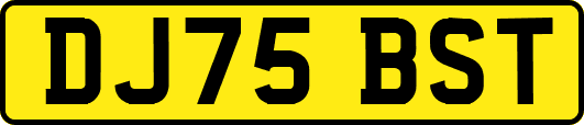 DJ75BST