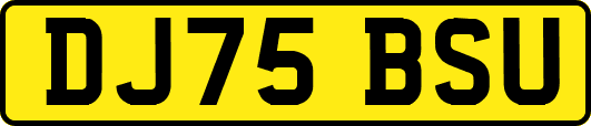 DJ75BSU