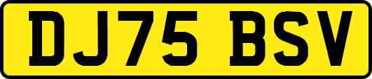 DJ75BSV