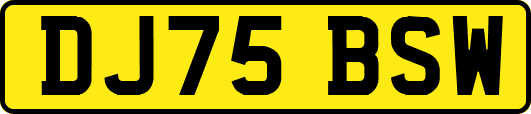 DJ75BSW
