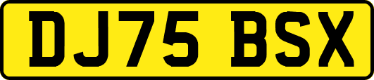 DJ75BSX