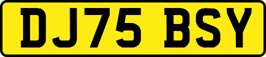 DJ75BSY