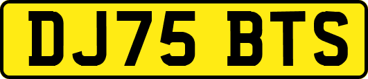 DJ75BTS