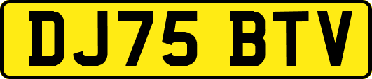 DJ75BTV