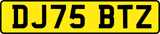 DJ75BTZ