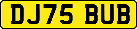DJ75BUB