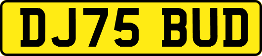DJ75BUD