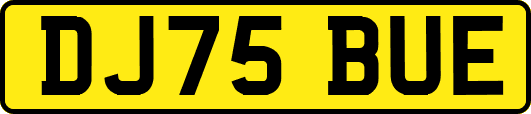 DJ75BUE