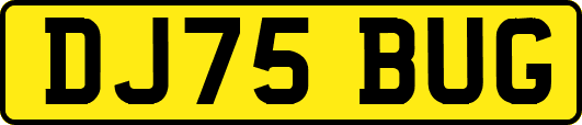 DJ75BUG