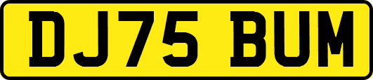 DJ75BUM
