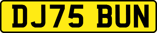 DJ75BUN