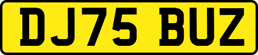 DJ75BUZ
