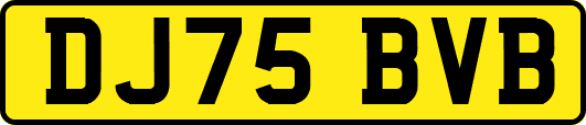 DJ75BVB