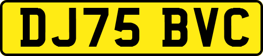 DJ75BVC