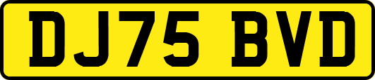 DJ75BVD