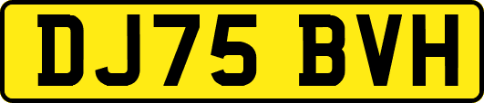 DJ75BVH