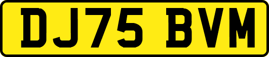 DJ75BVM