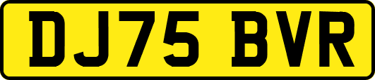 DJ75BVR