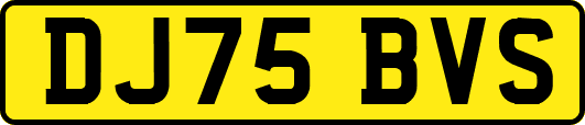 DJ75BVS