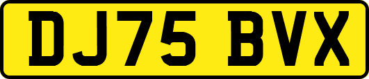 DJ75BVX