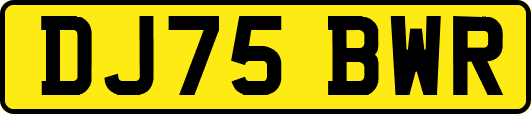 DJ75BWR