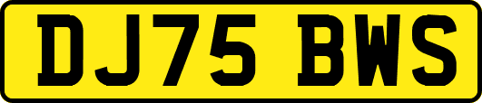 DJ75BWS