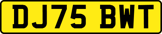 DJ75BWT