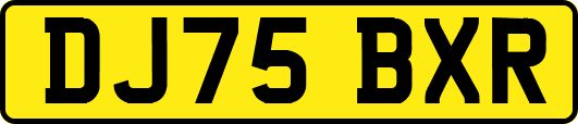 DJ75BXR