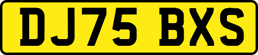 DJ75BXS