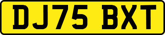 DJ75BXT