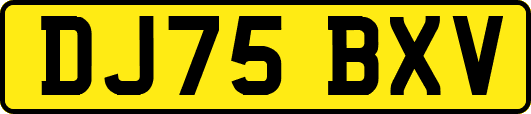 DJ75BXV
