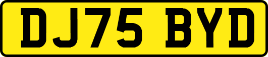 DJ75BYD