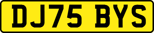 DJ75BYS