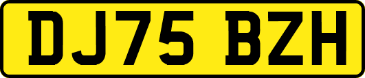 DJ75BZH