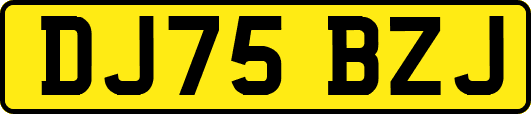 DJ75BZJ